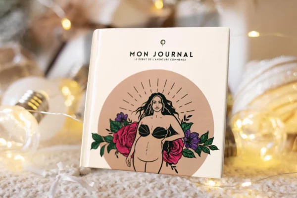 Journal_de_grossesse_idee_cadeau_Noel_Bonjour_Ocytocine